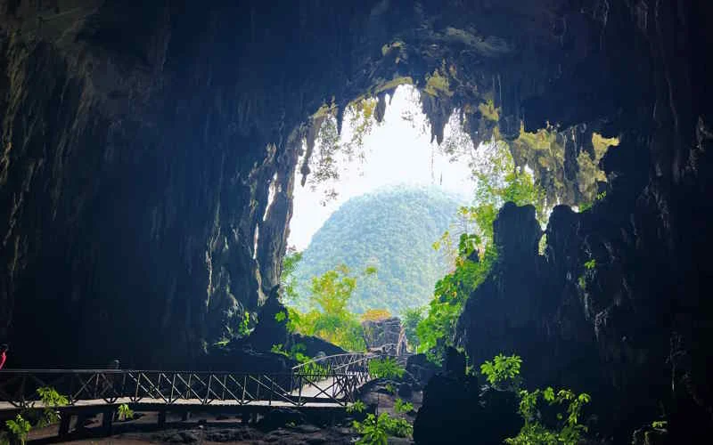 Cueva las Lechuzas